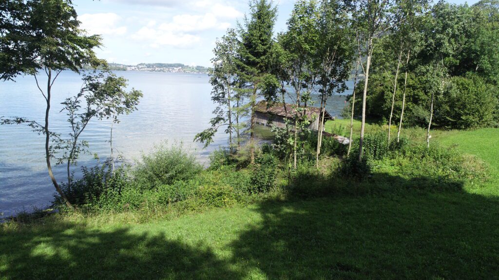 Bathing area on the west bank of Traunsee - Image 1