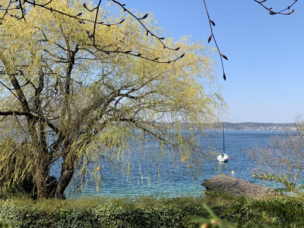 Old stand with bathing area - Weyregg/Attersee - Image 9