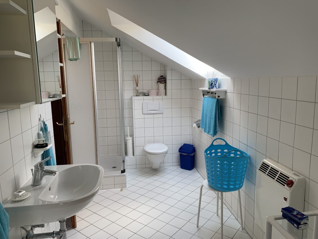 Holiday home with bathing area - Nußdorf/Attersee - Image 2